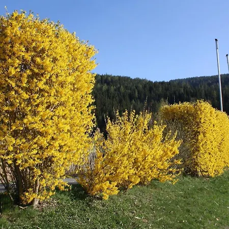 Chalet-prinz-murau-kreischberg Feriehus Murau