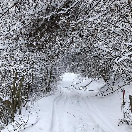 Chalet-prinz-murau-kreischberg Murau