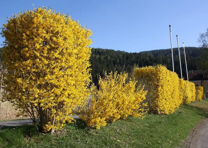 Chalet-prinz-murau-kreischberg 度假居 穆劳