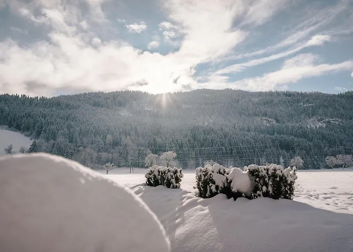 Chalet-prinz-murau-kreischberg 度假居