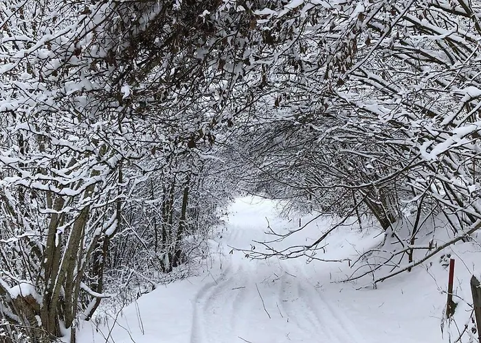 Chalet-prinz-murau-kreischberg 穆劳